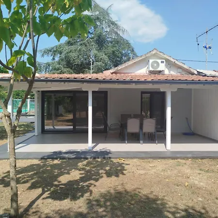 Olivegrove Olympiada