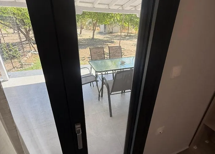 Olivegrove 奥林匹亚达