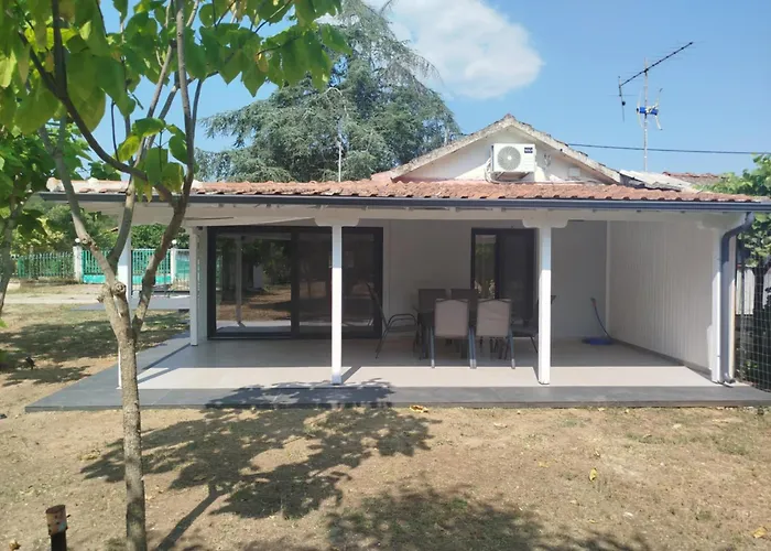 Olivegrove Olympiada